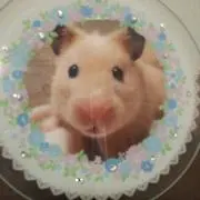 ✩.*˚ mimi •*¨*•.¸¸☆の画像