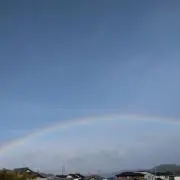 sunnyの画像