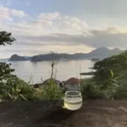 じゅんじゅんの画像