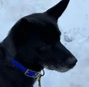 Kaiの画像
