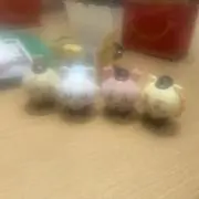 migi