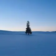 ryuhakuの画像