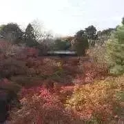 1点値下げ依頼対応不可✴︎プロフ必読✴︎の画像