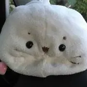 ほさの画像