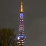 のんたんの画像