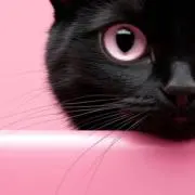 Luna✧˖°の画像