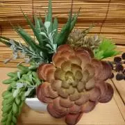 ゆうきゅうの画像