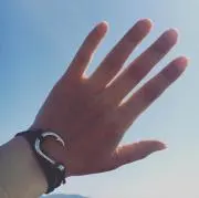 ステッピーの画像