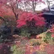 MACKY☆（プロフ読んでね^ ^）の画像