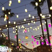 セヌの画像