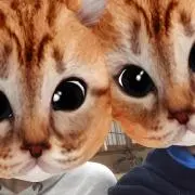 Nao