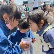 あおちんの画像