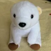 mimiの画像