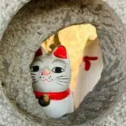 ネココの画像