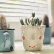 maruuuuの画像
