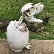 ふじっこ☆