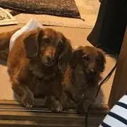 ひろの画像