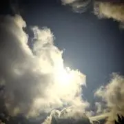 しわすの画像