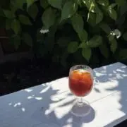 Gummiの画像