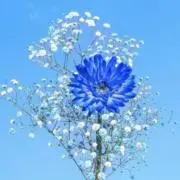 ❀.·∗° ✻・BLUE・✻ °∗·.❀
