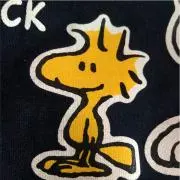asakana