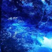 Blueの画像