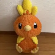 あちゃーもの画像