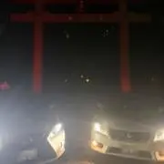 しゅーの画像