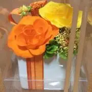 350の画像