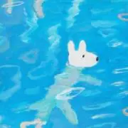 koo‪⋆౨ৎ゜の画像