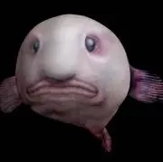 あーる