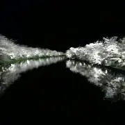 RKの画像