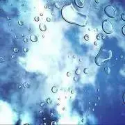 SHHGの画像