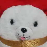 よっぽ
