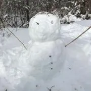 ほしの⭐︎の画像