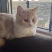 hiroの画像