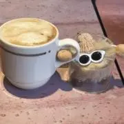 どんたこの画像