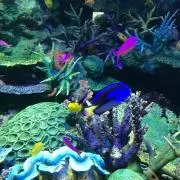 むぅ