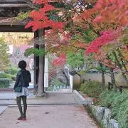 meiの画像