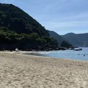 Yuriの画像