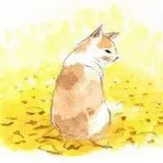 mochavanilla