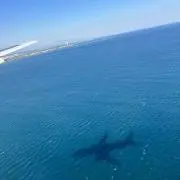 KUの画像