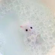 ぬあ/値下げ中の画像