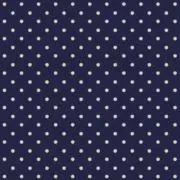 ちょひの画像