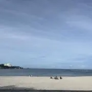 yuの画像