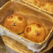 よんちゃんの画像