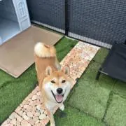 ♡i