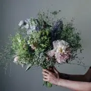 anemoneの画像