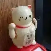 ぴぴぴの画像