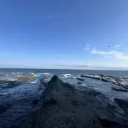 Cryptarbの画像